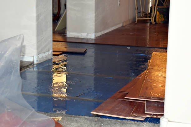 Professional Burst Pipe Cleanup technician working in Olema, CA